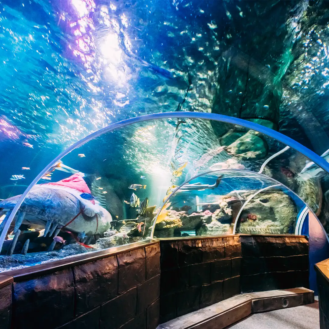 pb tours | Thailand group Tour